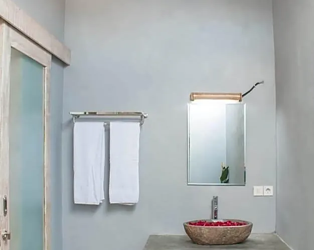 Peaceful House Twn Bed With Pool Incl Bf In Canggu Apartment Buduk